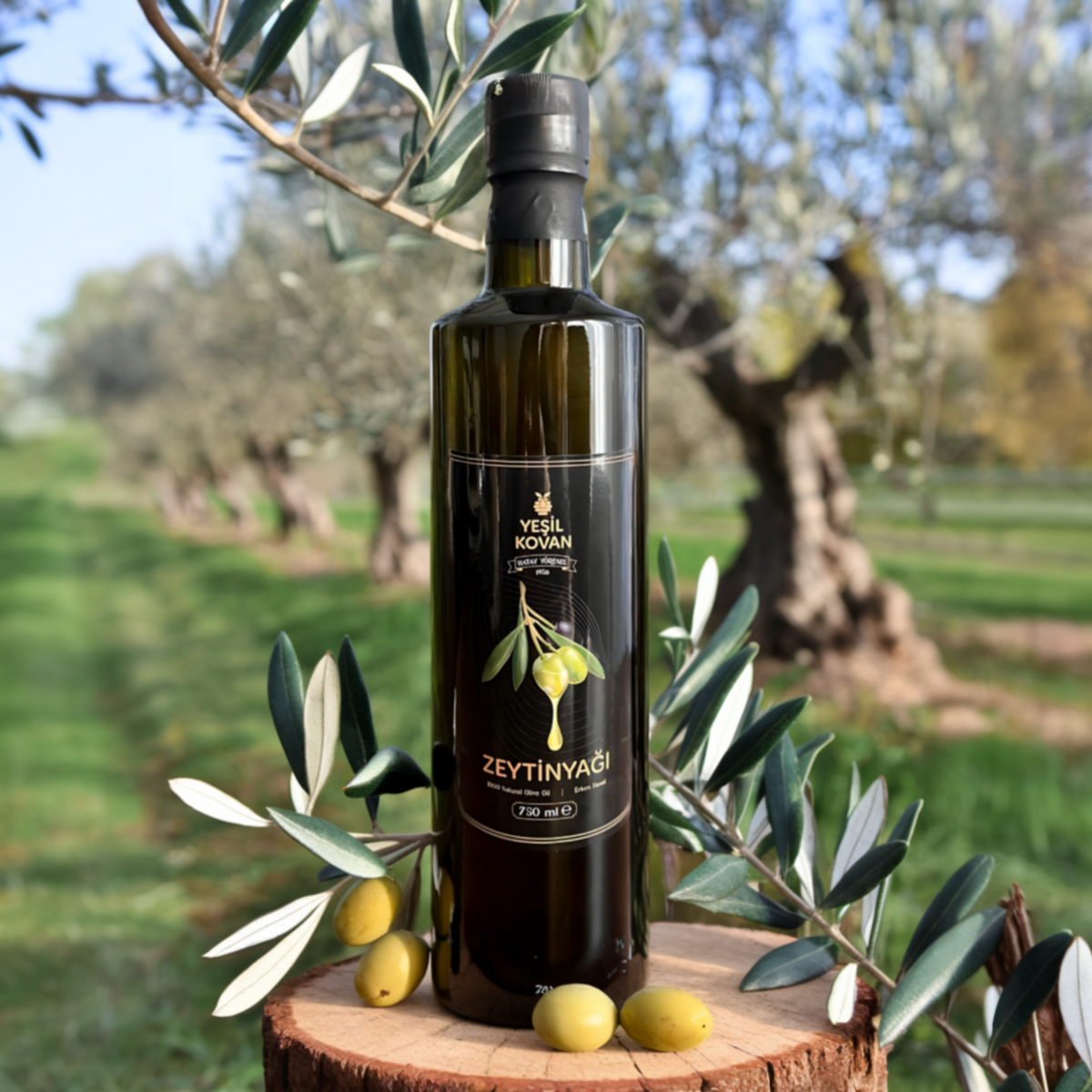 Zeytinyağı 750 ml - Erken Hasat - Cam Şişe
